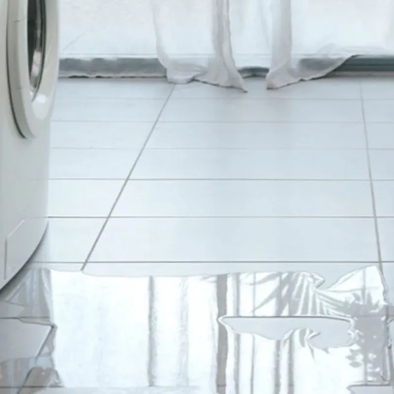 Appliance Leak Cleanup in Shepherd, MI