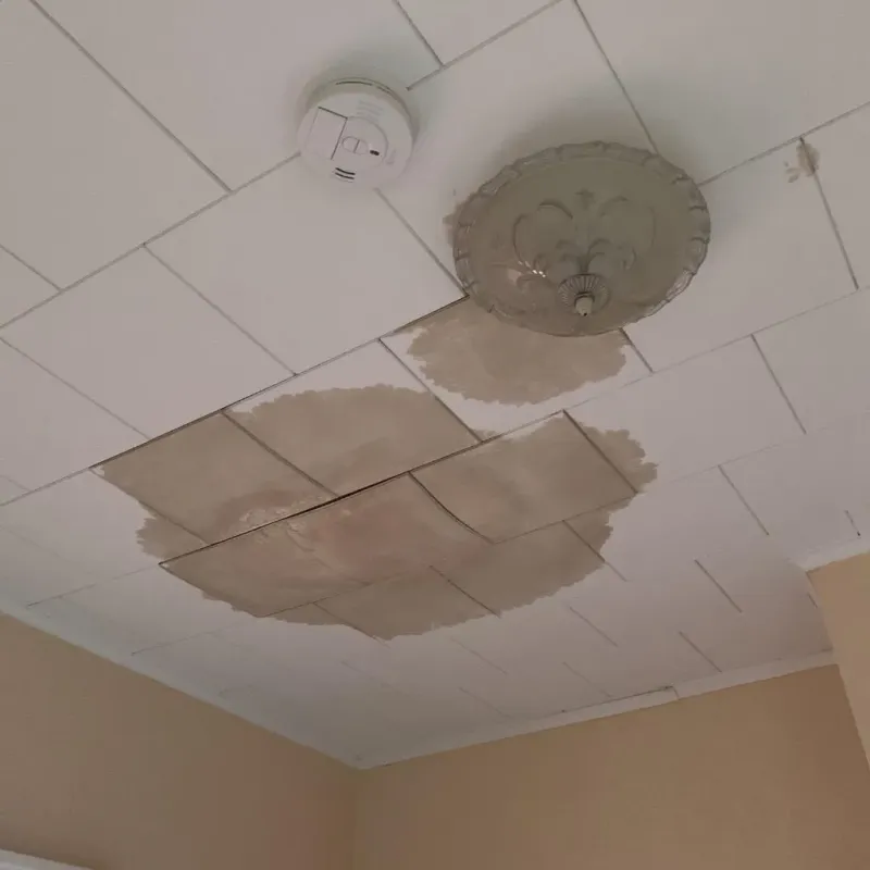 Ceiling Water Damage Repair in Shepherd, MI
