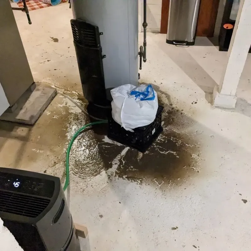 Sewage Backup Cleanup Service in Shepherd, MI